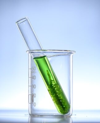 Czy w chlorelli jest żelazo?