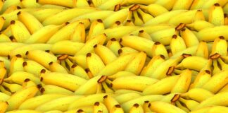 Czy można jeść banana z mlekiem?