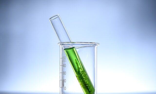Czy Chlorella oczyszcza organizm?