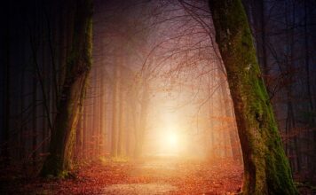 Co to znaczy cień foliowy? Co to znaczy cień foliowy?