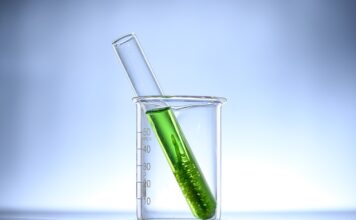 Na co jest dobra Chlorella? Na co jest dobra Chlorella?