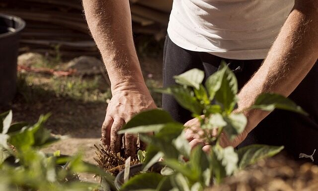 Do czego potrzebne jest uziemienie?