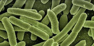 Jak pozbyć się bakterii z pochwy?