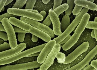 Jak pozbyć się bakterii z pochwy?